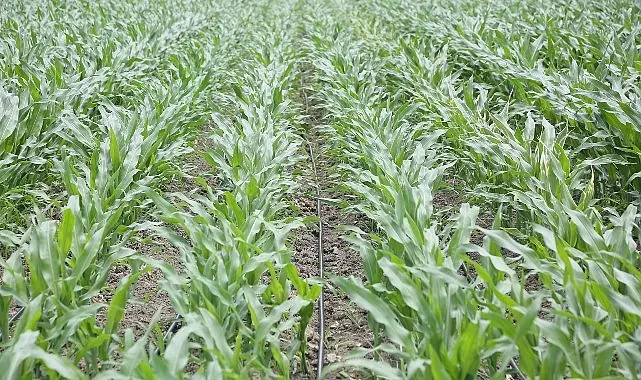 PepsiCo Suyun Geleceğini Koruma Konusunda Kararlı Adımlar Atmaya Devam Ediyor