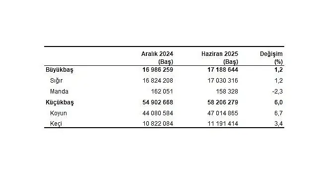 Hayvancılık İstatistikleri, Haziran 2025
