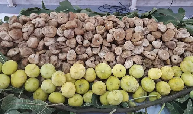 Kuru incirin ihracat yolculuğu 15 Ekim’de başlayacak