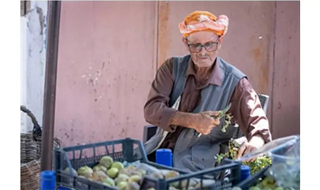 Beydağ incirinin katma değeri artıyor
