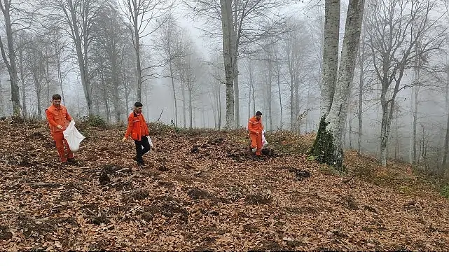 Harmancık’ta yanan ormanlara tohumlar serpiliyor