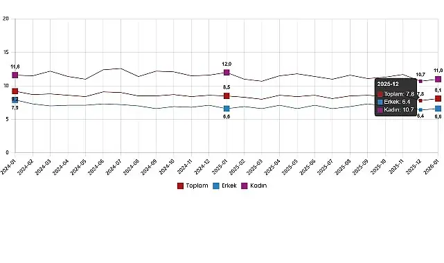 İşgücü İstatistikleri, Ocak 2026
