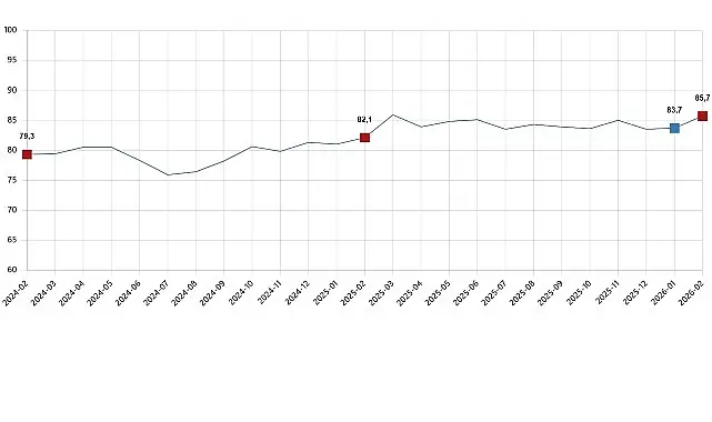 Tüketici Güven Endeksi, Şubat 2026