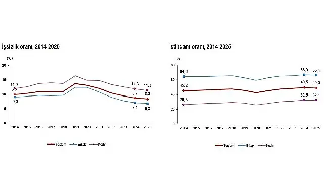 İşgücü İstatistikleri, 2025