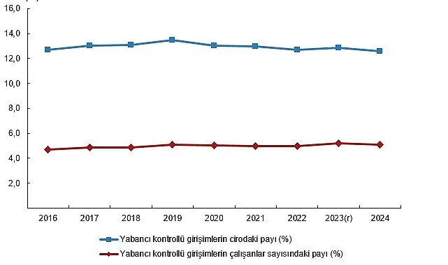 Yabancı Kontrollü Girişim İstatistikleri, 2024
