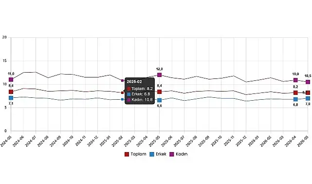 İşgücü İstatistikleri, Mayıs 2026